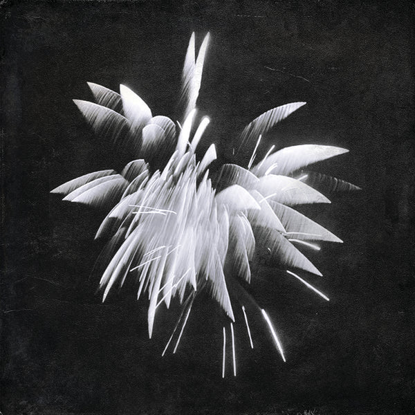 Brent Windler - New Morning Howl CD