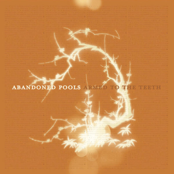 Abandoned Pools - Armed To The Teeth CD