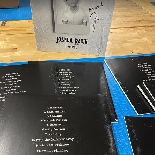 Joshua Radin - The Fall Vinyl