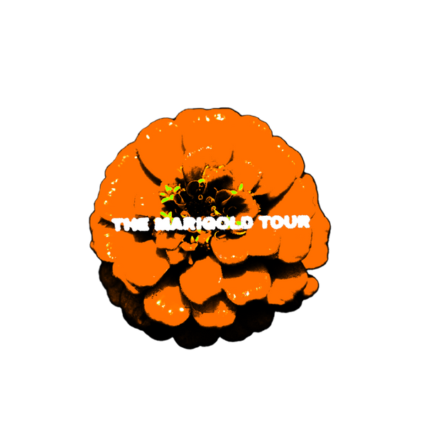 Yam Haus - Marigold Tour Flower Sticker