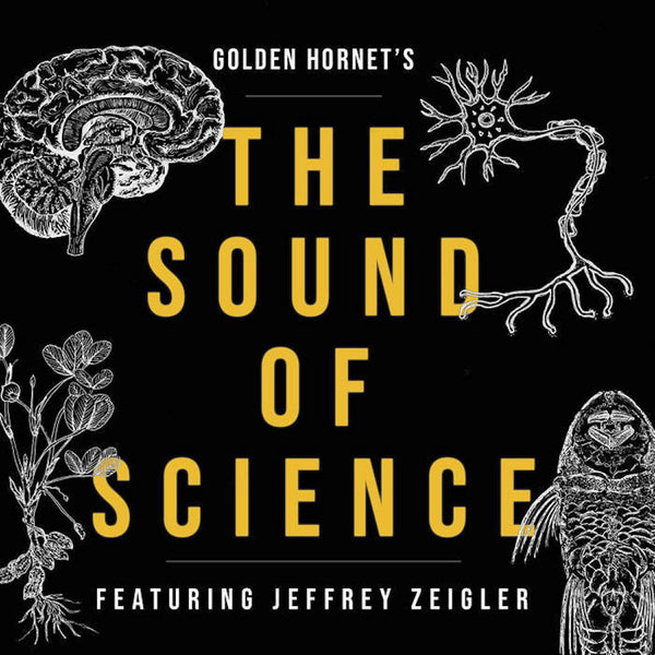 Golden Hornet - The Sound of Science